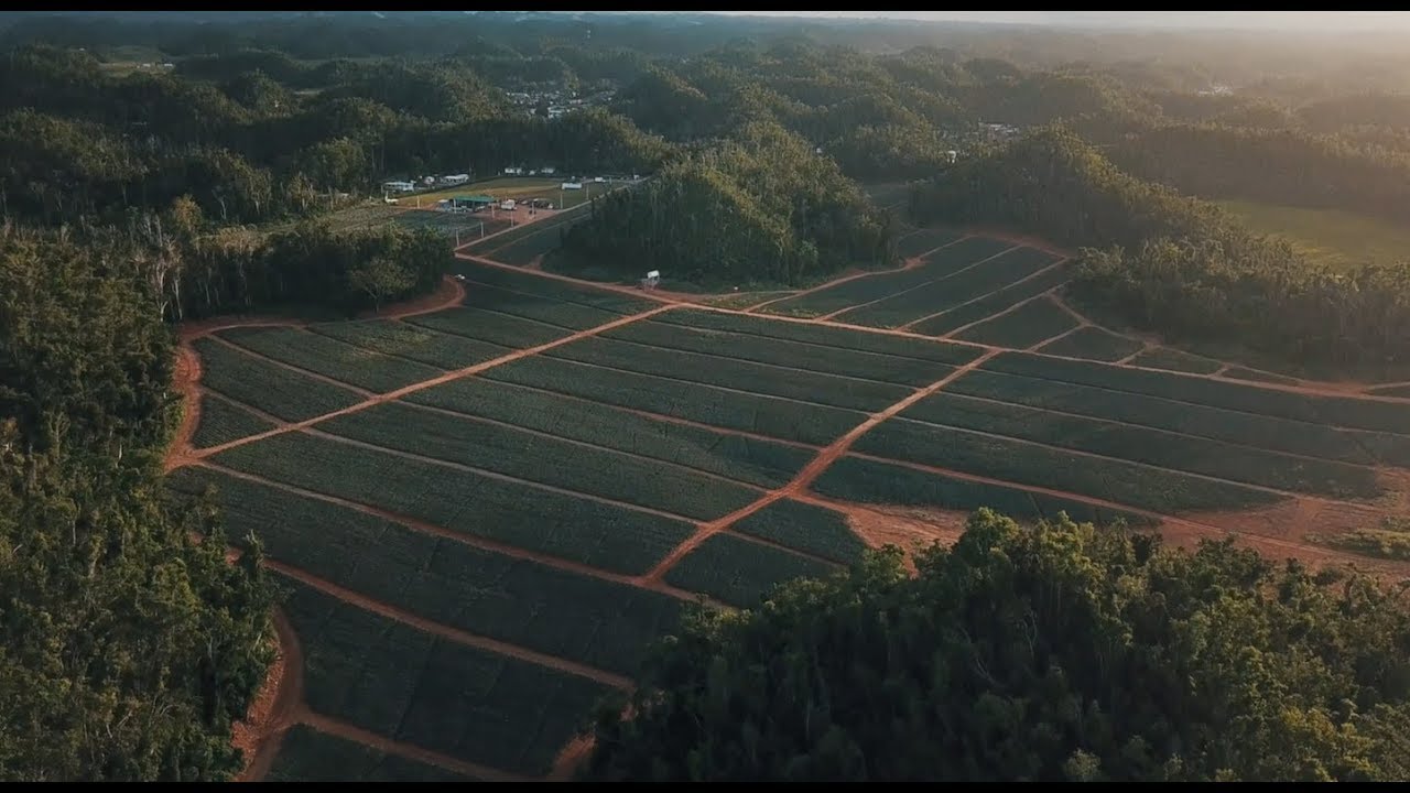 Video thumbnail for one year since Maria - Puerto Rico