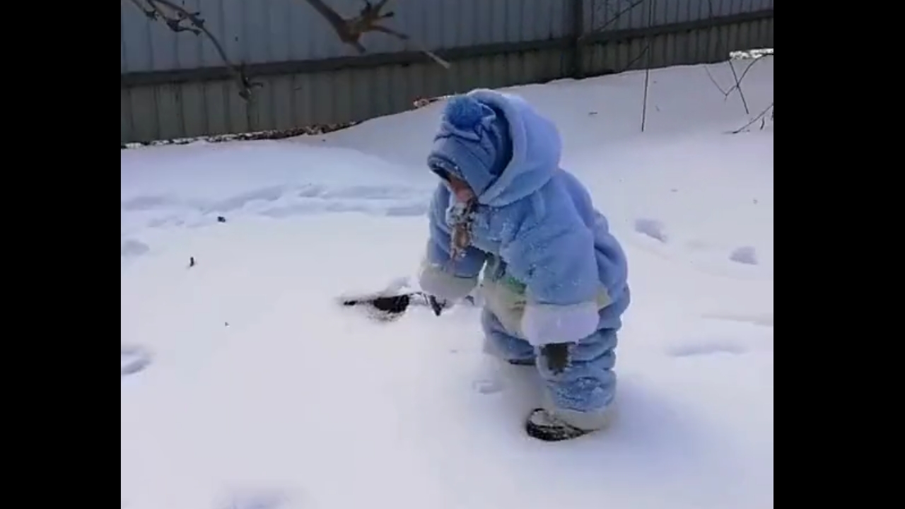 Video thumbnail for Monkey in costume celebrates joyful moment in first snowfall