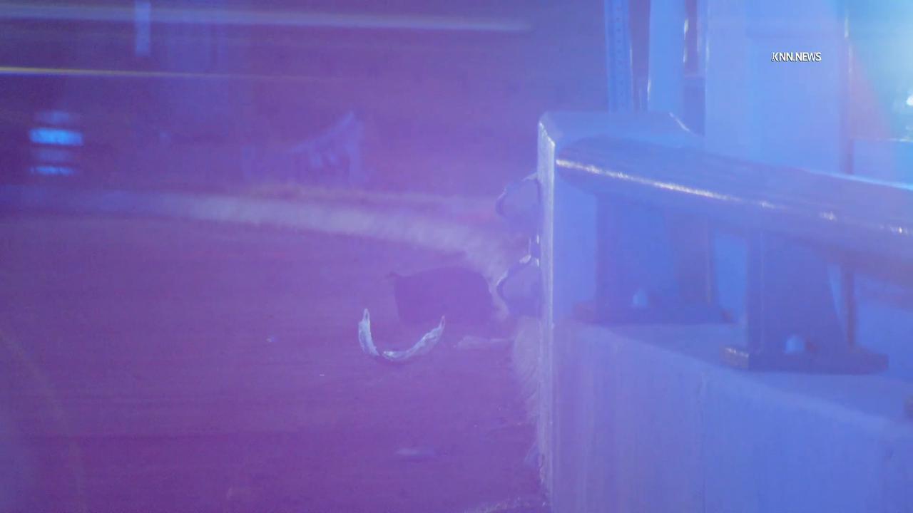 Video thumbnail for US, Dallas: Fort Worth Fatal Crash Investigation.