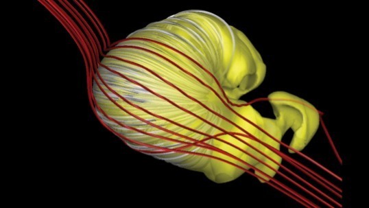 Video thumbnail for Inside the solar bubble: why scientists say the heliosphere looks like a deflated croissant