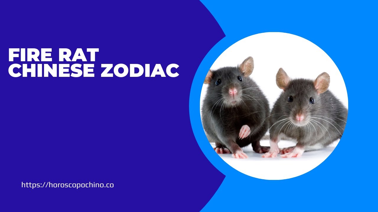 'Video thumbnail for Fire rat chinese zodiac, chinese astrology'