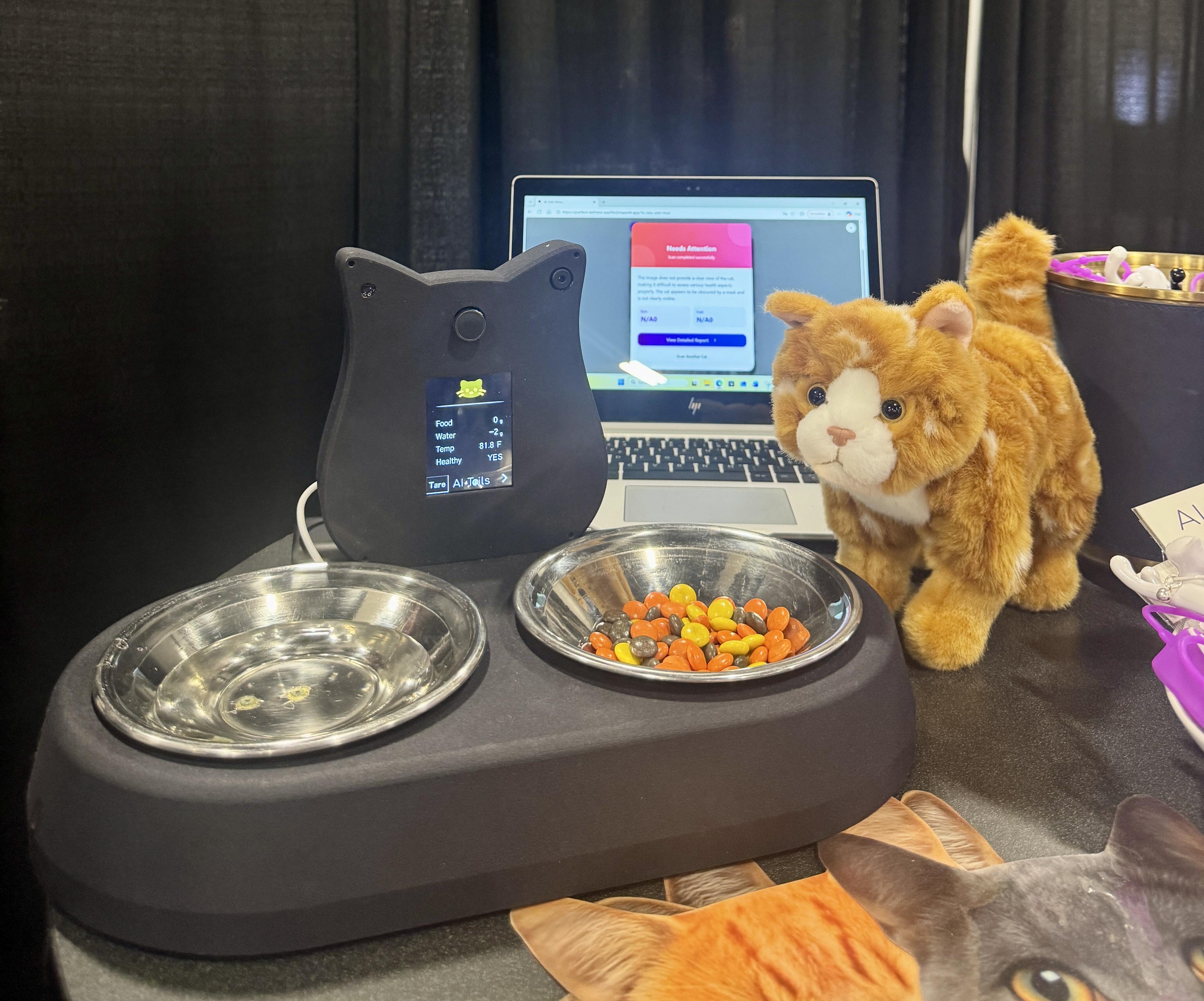 Video thumbnail for This Cat Food Bowl Uses AI to Know If Your Cat Is Sick