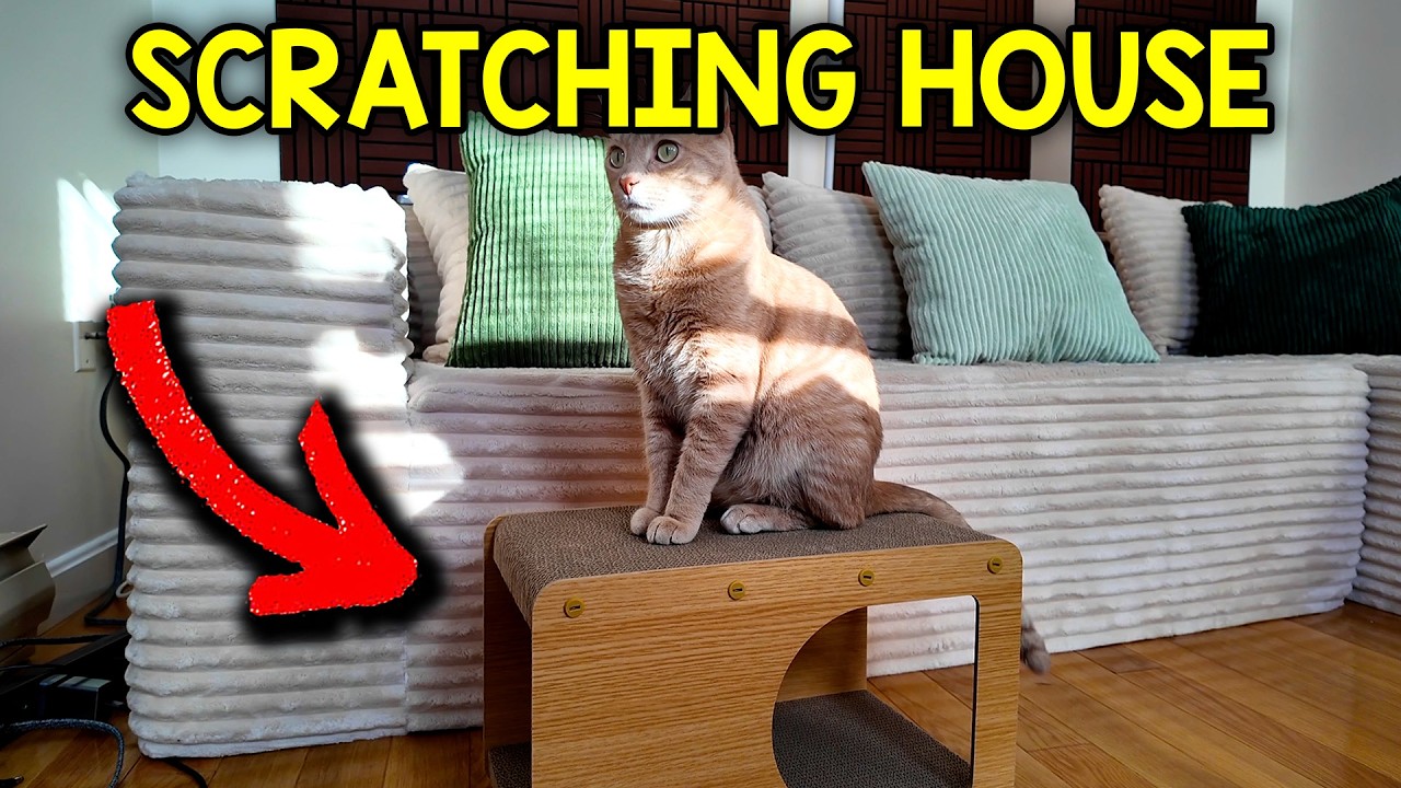 Video thumbnail for Does My Cat Like The EHEYCIGA Cardboard Cat Scratcher House