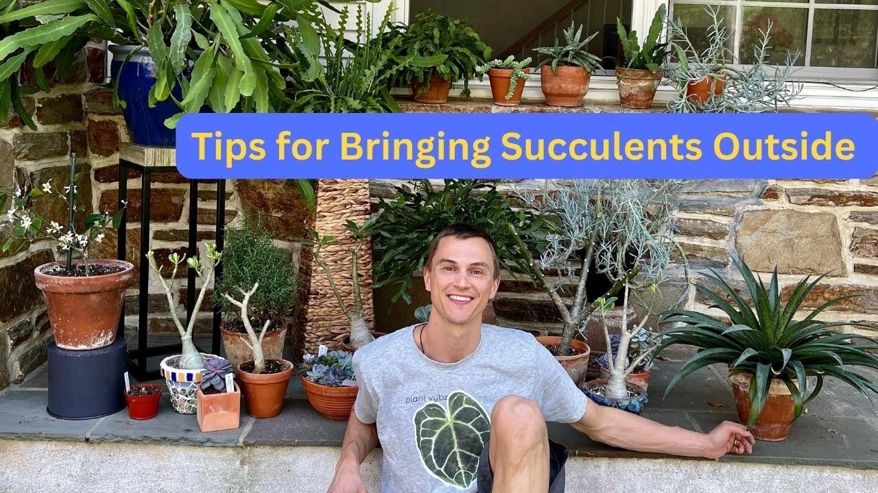 Video thumbnail for How to Bring SUCCULENTS Outside Correctly for Summer - Top 3 Tips