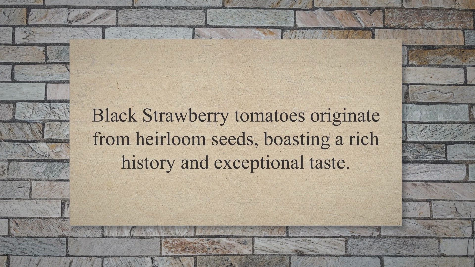 Video thumbnail for How To Grow Black Strawberry Tomatoes
