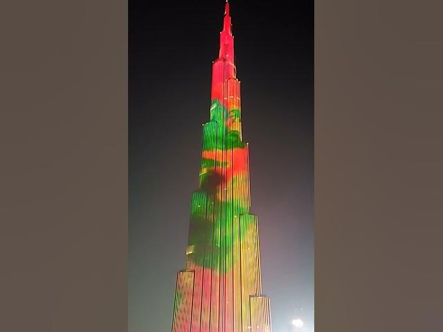 Video thumbnail for World biggest falcon seen on Burj Khalifa-Tallest towers in the world