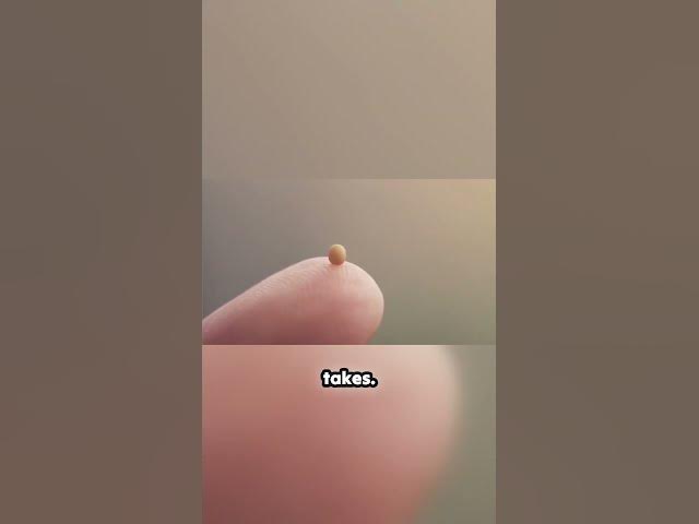 Video thumbnail for What Incredible Things Can Faith as Small as a Mustard Seed Achieve? #motivation #hope #faith #love