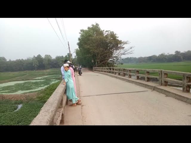 Video thumbnail for শুস্ক মৌসুমে ইছালী বিল, সবুজ ধানক্ষেত, গাজীপুর,-Ichali bill in dry season, ইছালী ব্রিজ, পুবাইল রোড,