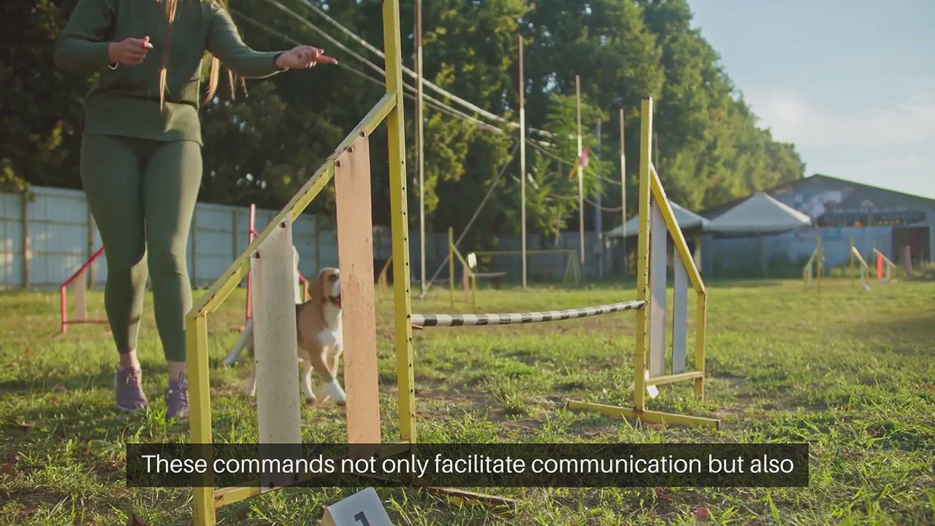 Video thumbnail for Puppy Training Commands