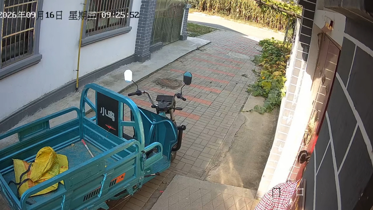 Video thumbnail for Toddler Steers Cargo Tricycle into Bushes in Tianjin