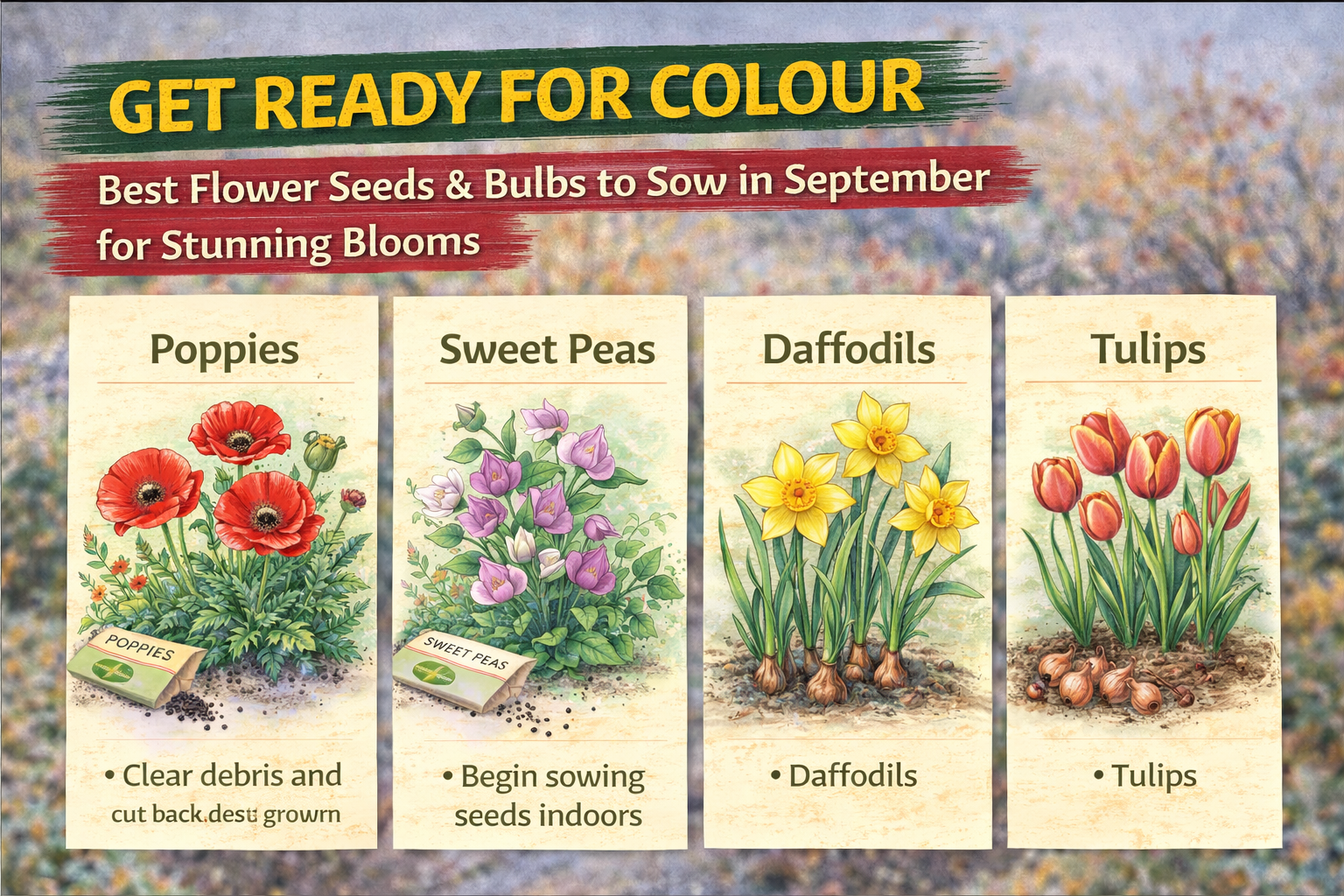 Video thumbnail for Get Ready for Colour | Best Flower Seeds & Bulbs to Sow in September for Stunning Blooms
