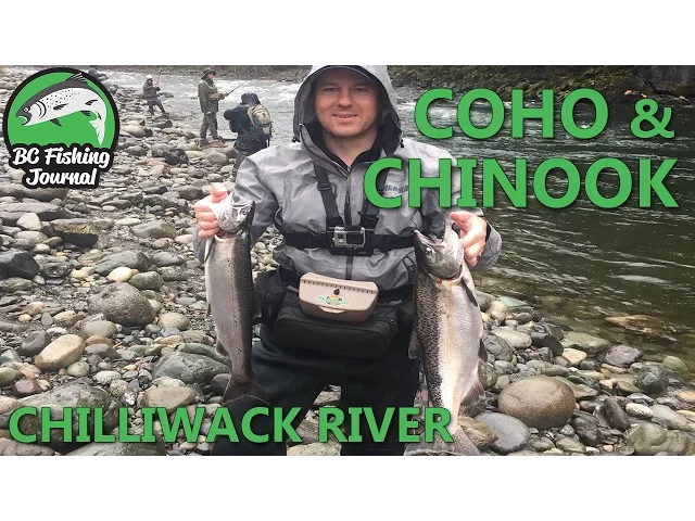 Video thumbnail for Chilliwack River - Coho & Chinook Salmon