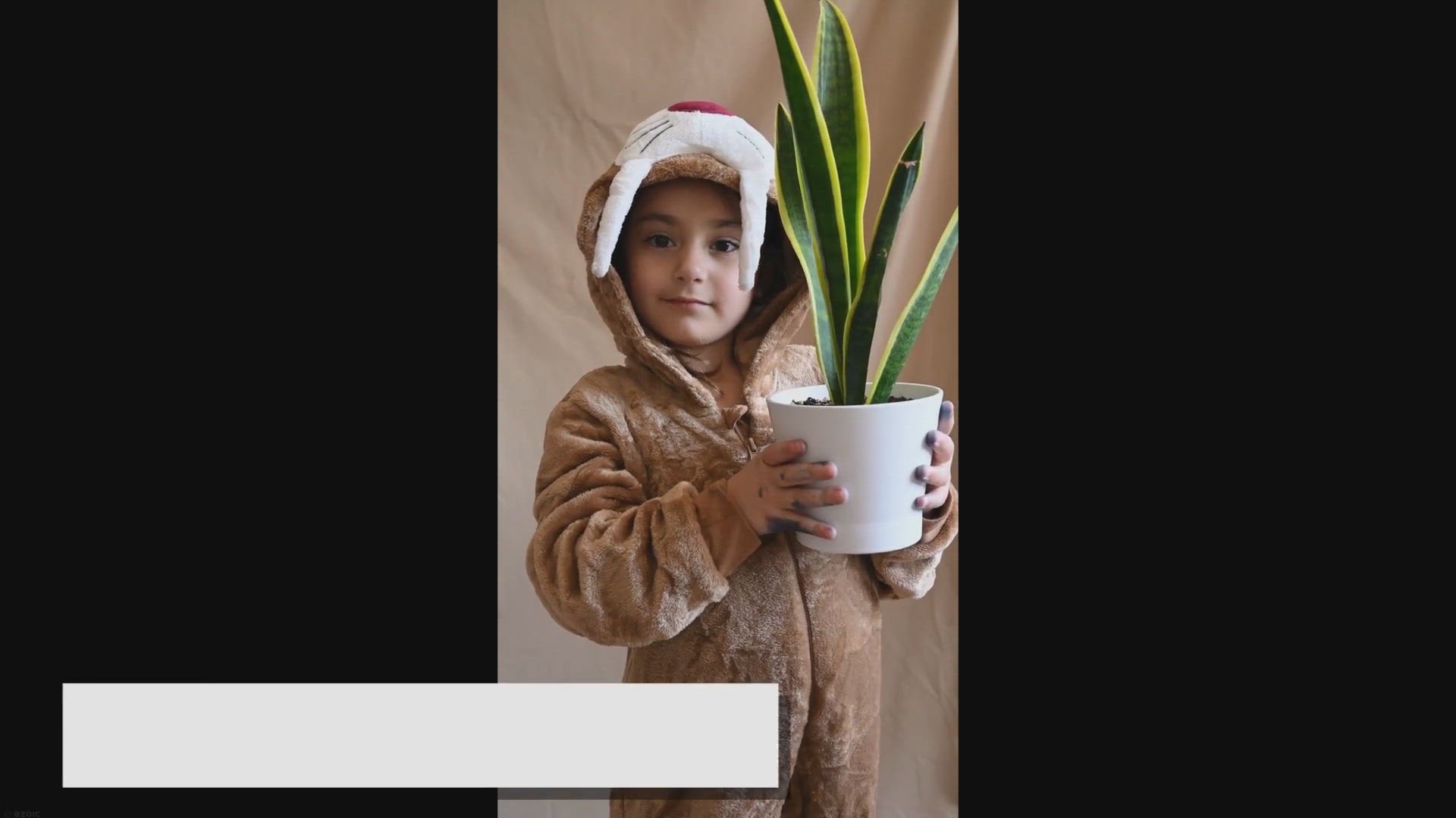 'Video thumbnail for Snake Plant Light Requirements: Thrive in Any Corner'