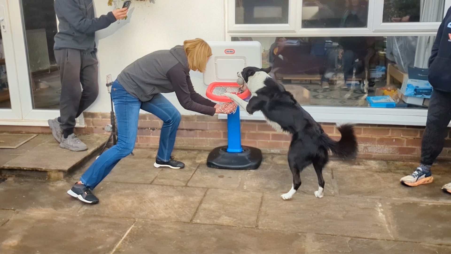 Video thumbnail for Simba the dog sets basketball dunk record with 16