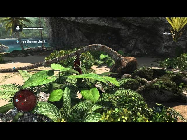 Video thumbnail for Assassin's Creed IV: Black Flag: Prologue: Stalking Zones Tutorial, Sea Turtles, Stealth Combat