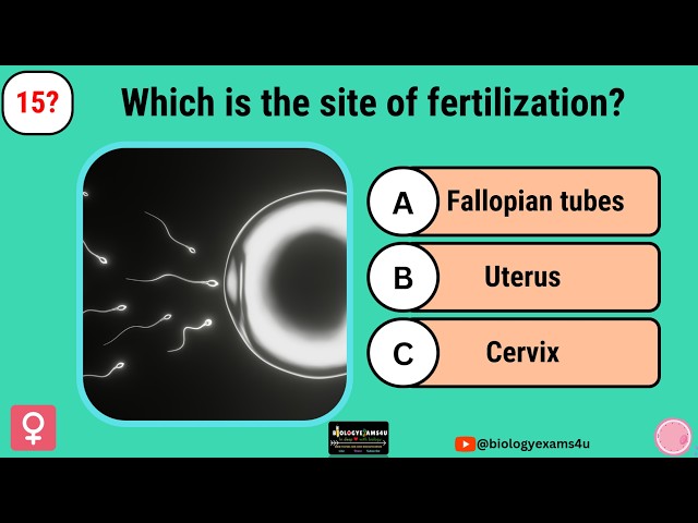 Video thumbnail for Quiz on Female Reproductive System || 25 Multiple Choice Questions and answers