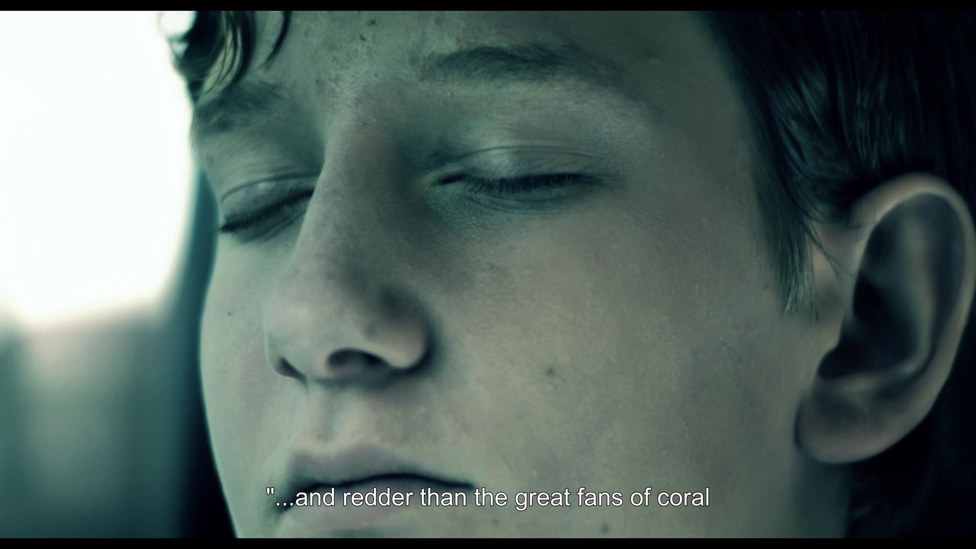 Video thumbnail for NACHTIGALL_mit UT_HD.mp4