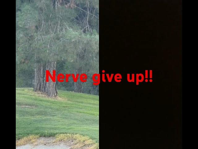 Video thumbnail for 5 July 2024