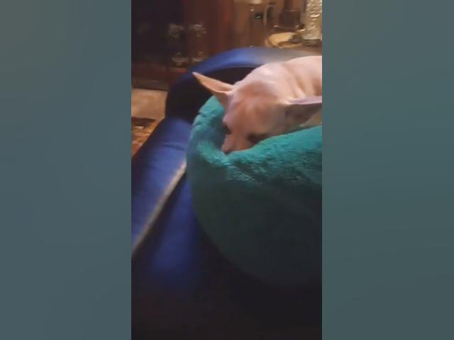 Video thumbnail for January 23, 2022