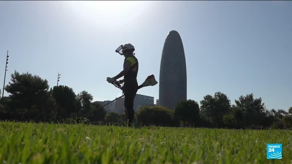 Video thumbnail for Reduced hours and 'climate leave': How Spain has adapted to heatwaves