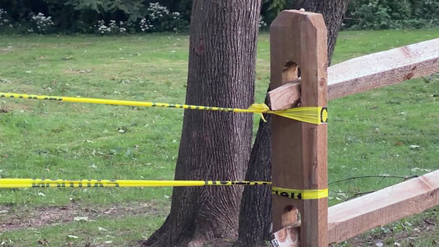 Video thumbnail for Skeletal remains found in Manhasset park believed to be missing person