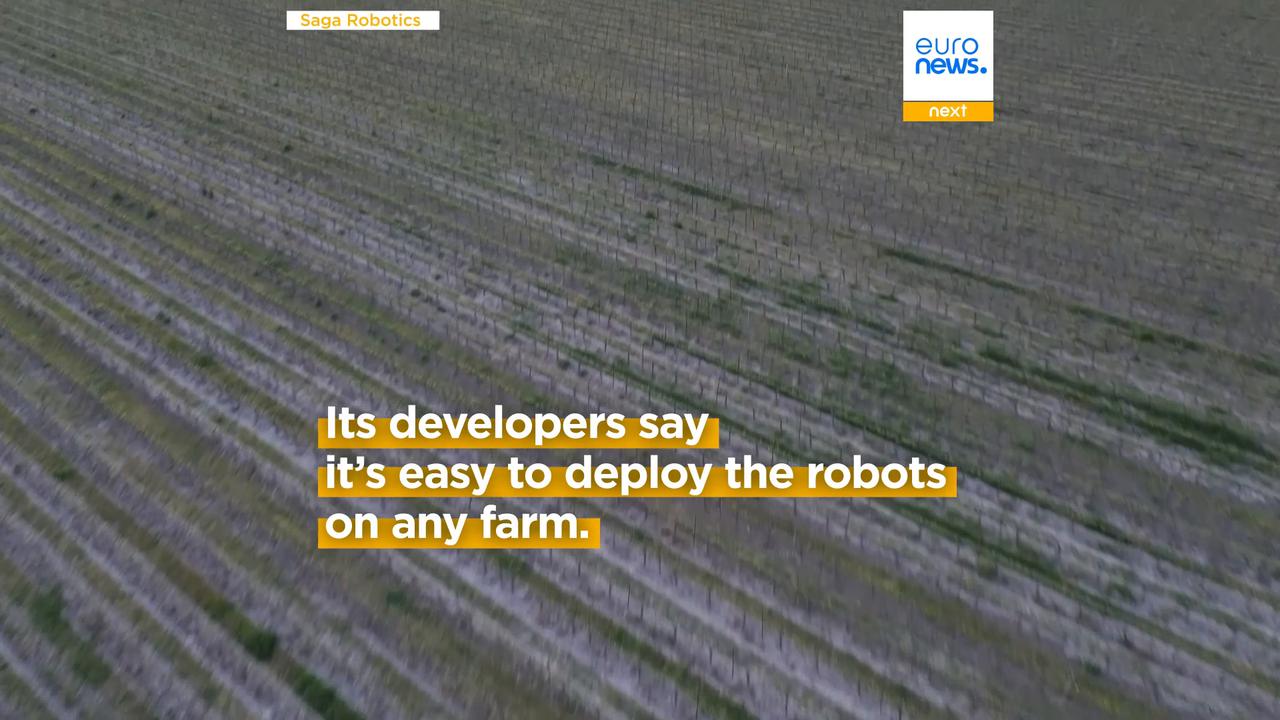 Video thumbnail for Meet Thorvald, the robot protecting strawberries and grapes |Euronews Tech Talks
