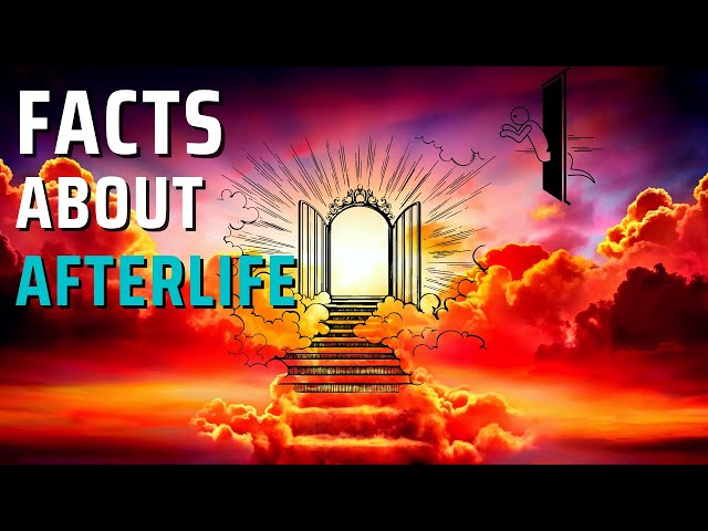 Video thumbnail for THE AFTERLIFE