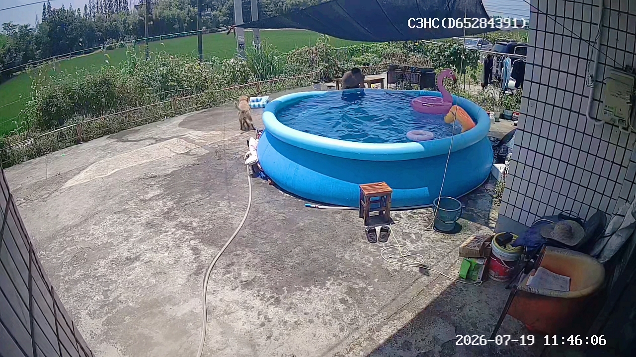 Video thumbnail for Man Falls Off Float as Pool Water Spills Over in Shanghai