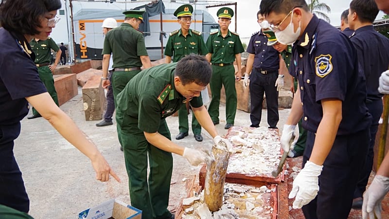 Video thumbnail for Vietnam police seize nearly 1.2 tonnes of ivory hidden in timber logs