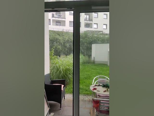 Video thumbnail for Let's go out 🌧️ Mia 🐶?