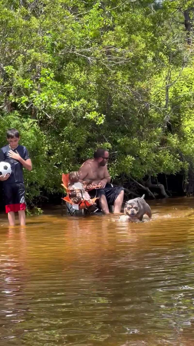 Video thumbnail for Chill River Day with Dog Lounging in a Camping Chair
