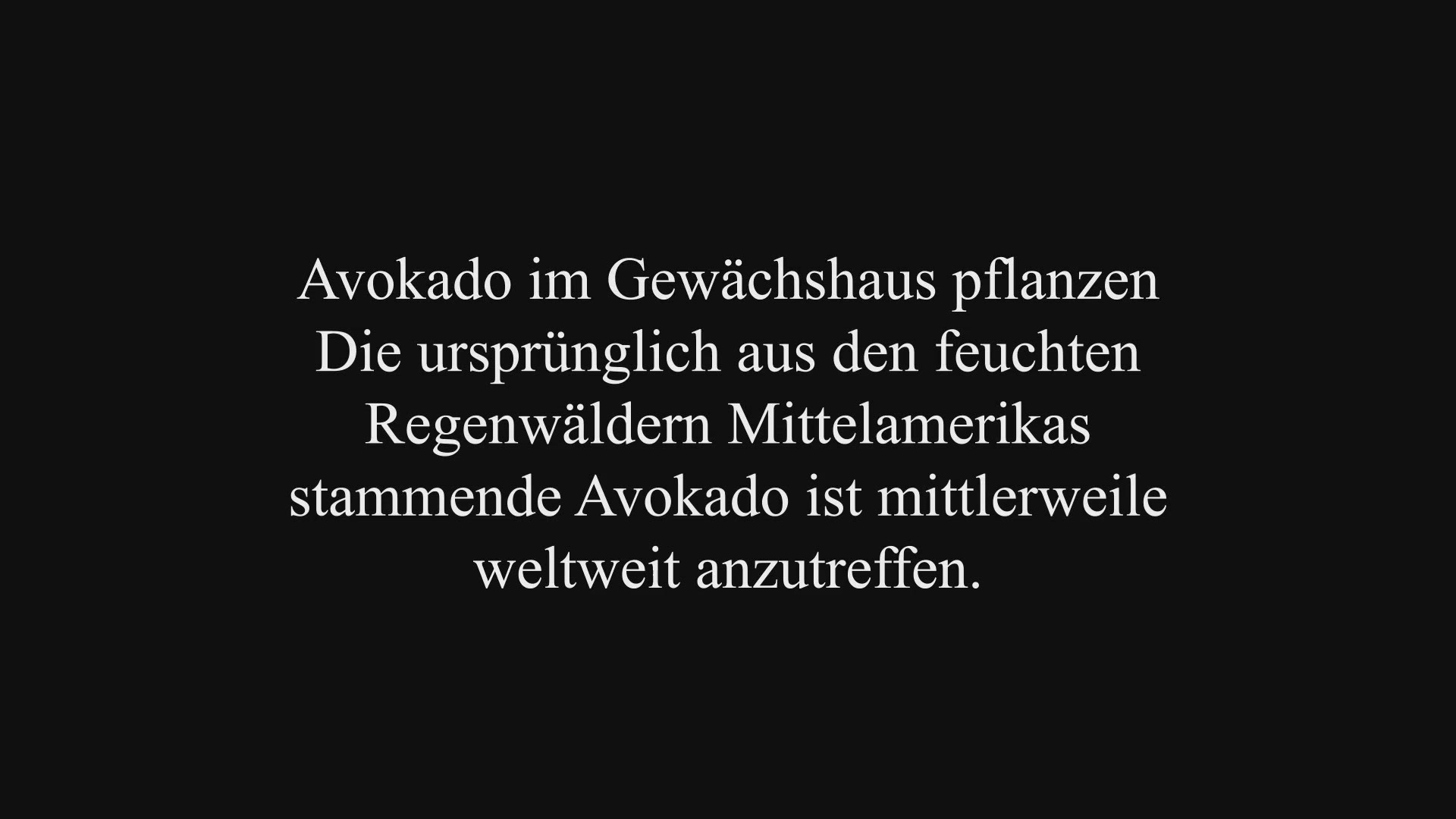 Video thumbnail for Avokado im Gewächshaus pflanzen