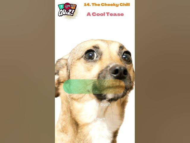 Video thumbnail for 🔥 25 Cheeky Riddles That'll Tickle Your Funny Bone! 😜 | Can You Handle the Wit? 14