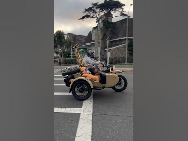 Video thumbnail for Summer in San Diego