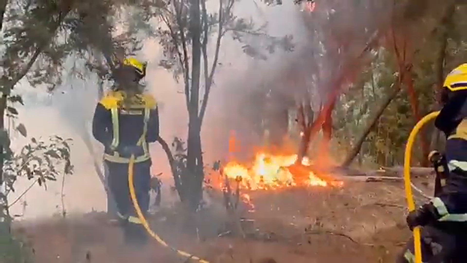 'Video thumbnail for Waldbrand 2023 Teneriffa - Feuerwehr'