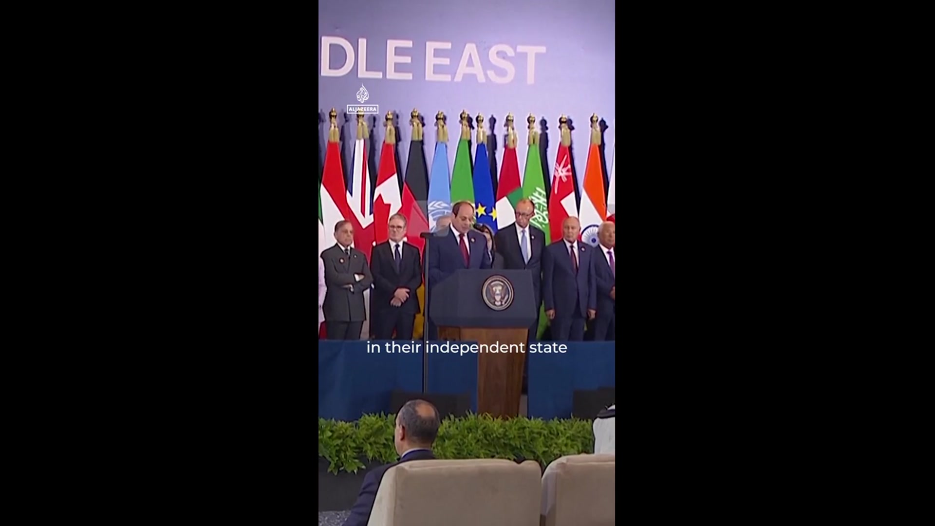 'Video thumbnail for Egypt: Two-state solution is 'the only way to achieve peace''
