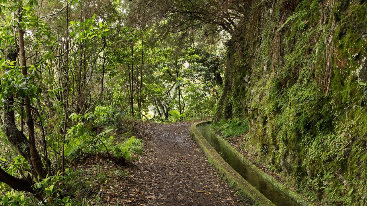 'Video thumbnail for Wanderung an der Levada do Rei | Madeira'