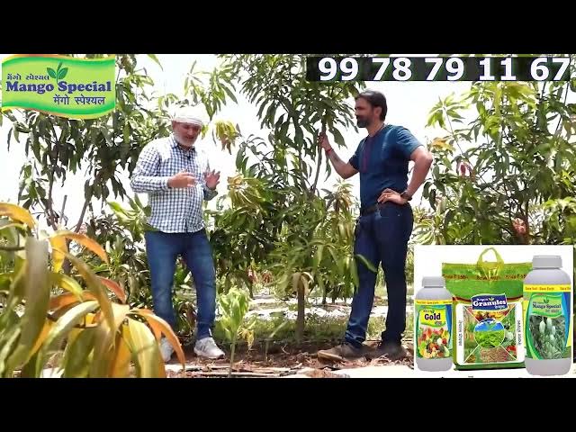 Video thumbnail for खेती को बिज़नेस की तरह करो तो ही पैसा मिलेगा। प्रगतिशील किसान : प्रवीण पटेल सूरत।