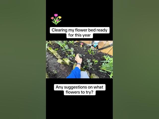 Video thumbnail for Preparing a Flower Bed | Improving Soil for Healthy Blooms