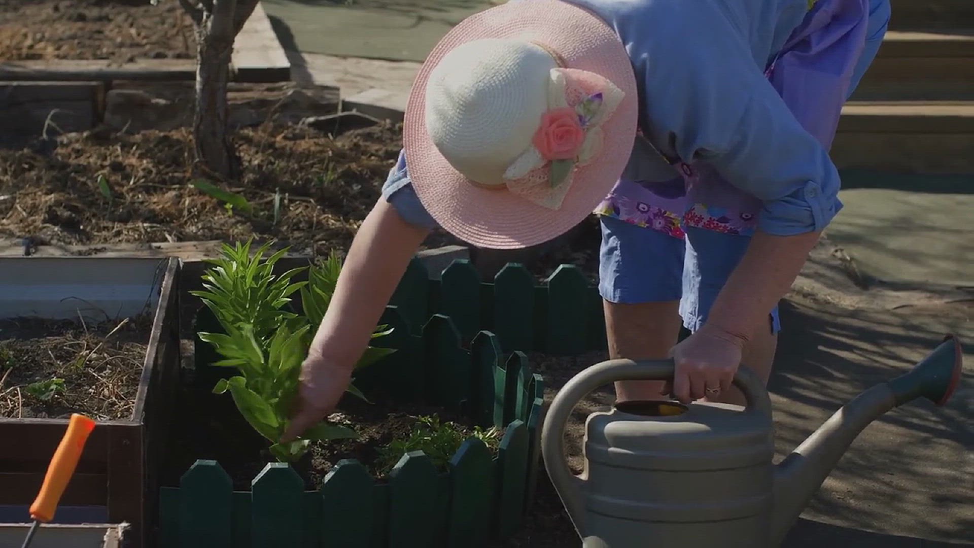 'Video thumbnail for 10 Ways to Prepare Your Garden for Summer'