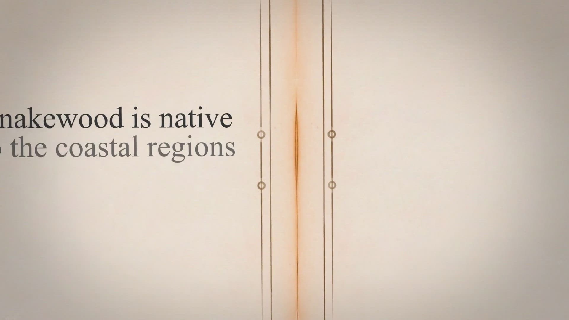 Video thumbnail for Snakewood | Uses, Pros and Cons