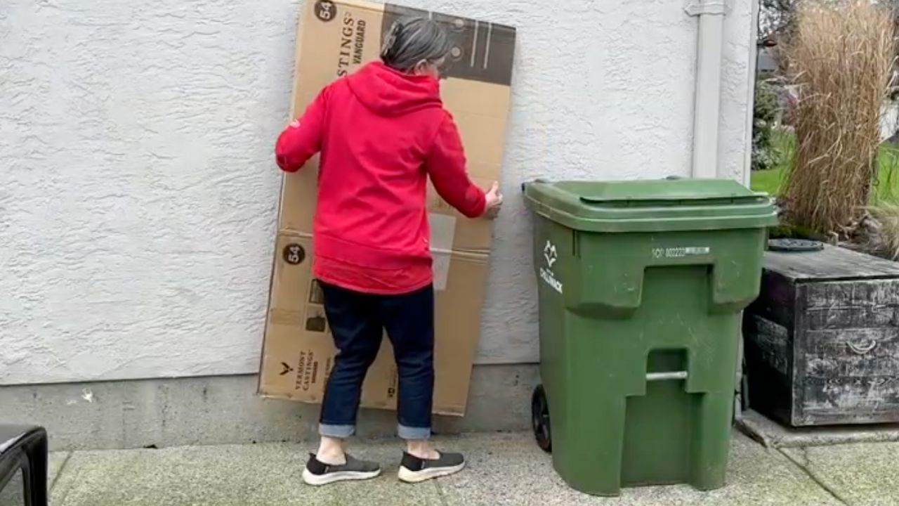 Video thumbnail for She pulls a cardboard box from the trash for this GENIUS entryway idea!