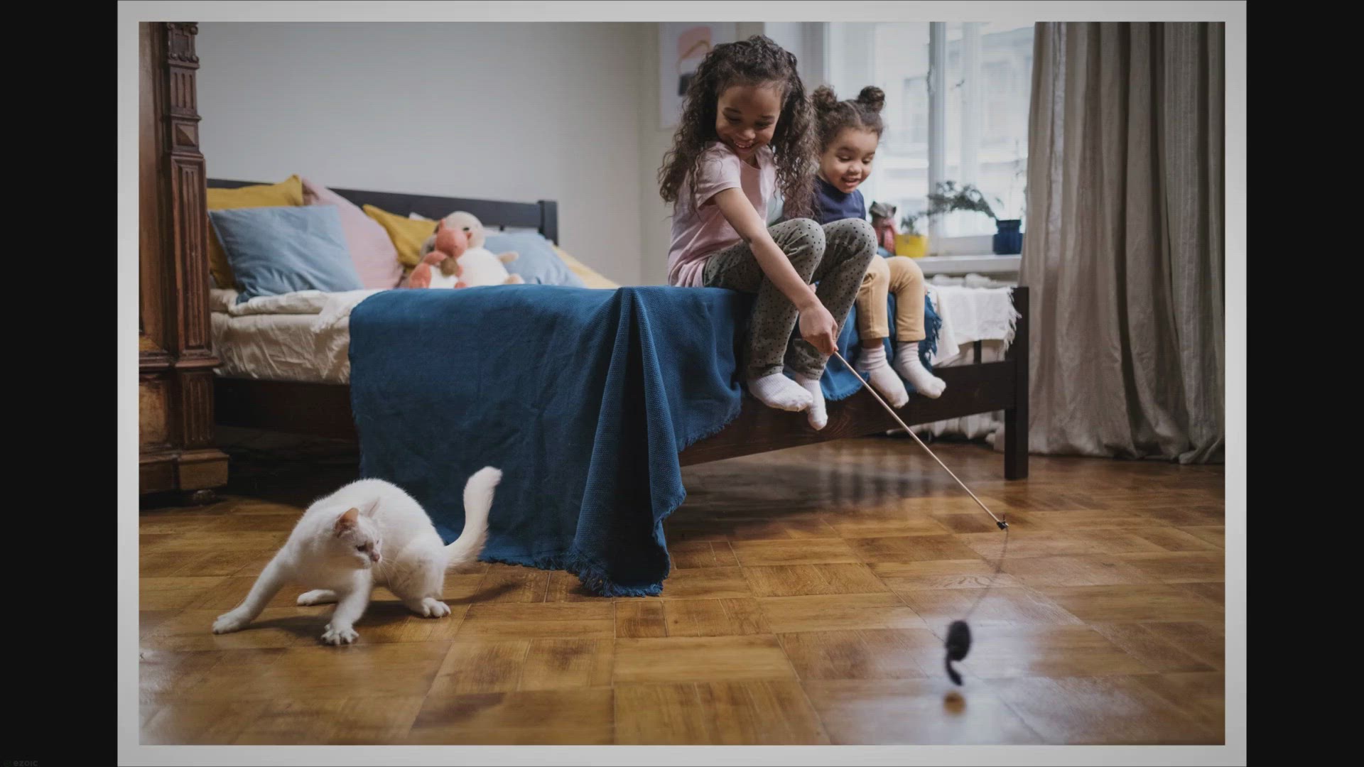 'Video thumbnail for How to Make Your Cat Cuddly?'