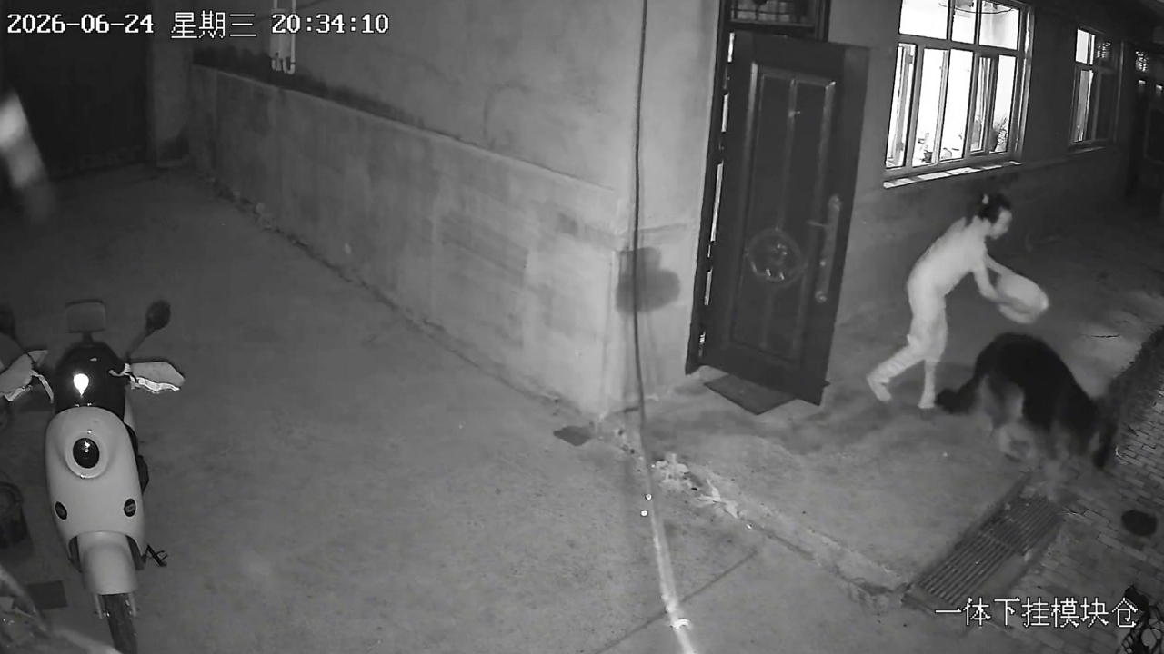 Video thumbnail for German Shepherd Soaked in Hilarious Doorway Splash