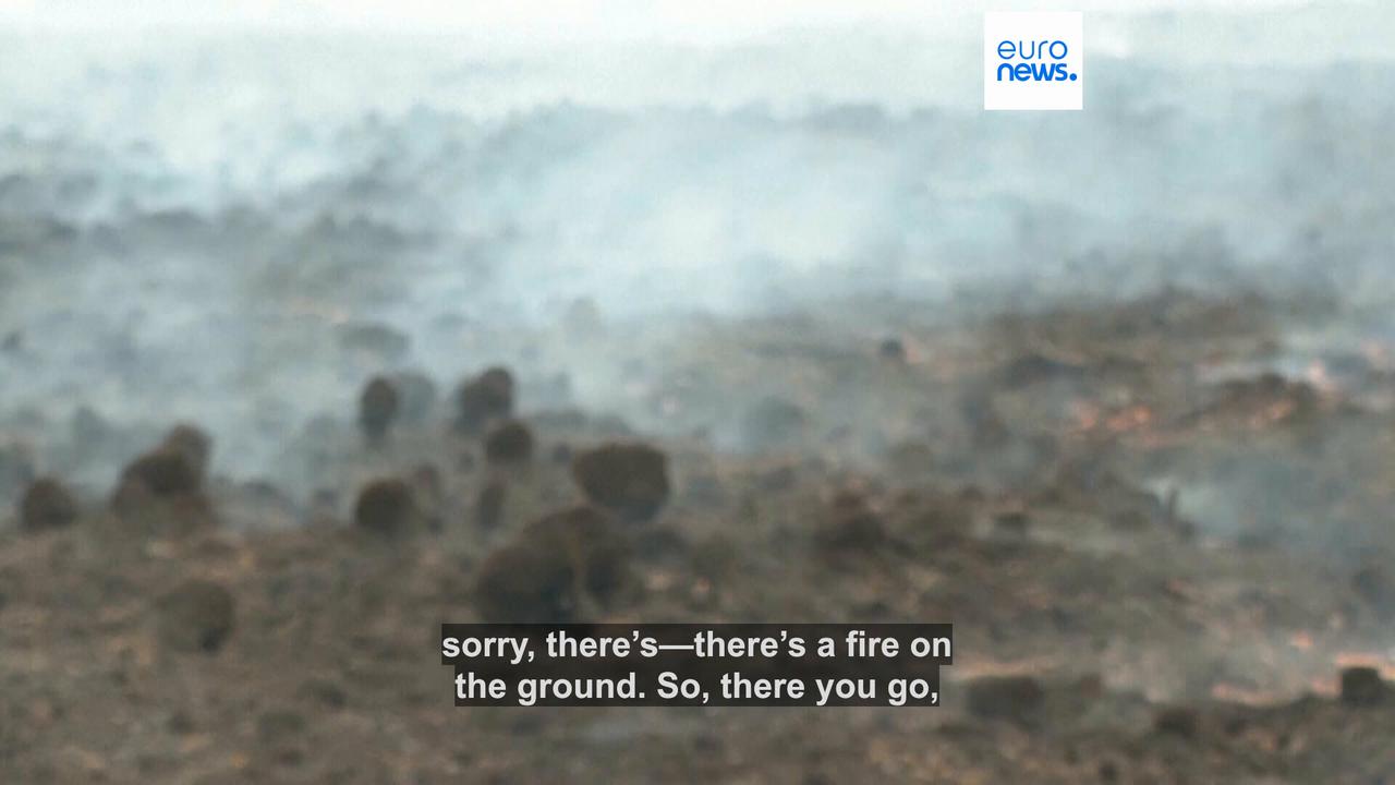 Video thumbnail for Belgium wildfire 'encircled' overnight but situation still 'complicated,' officials say