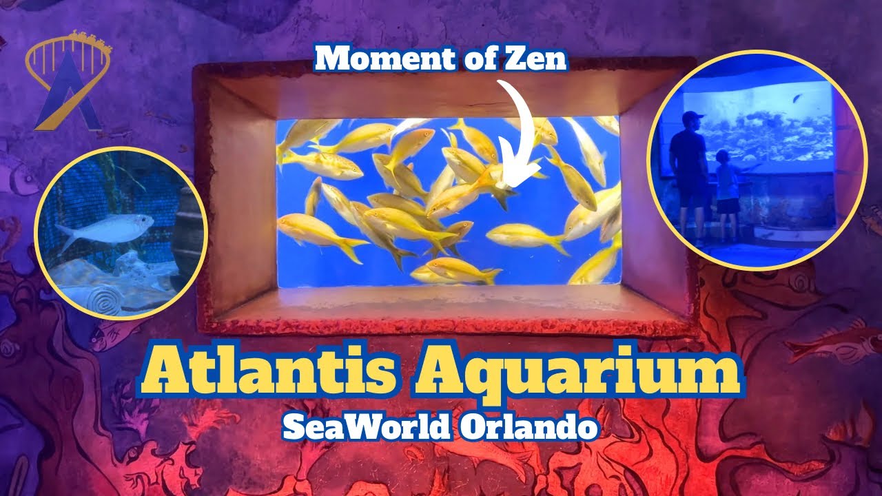 Video thumbnail for Exploring the Atlantis Aquarium at SeaWorld Orlando