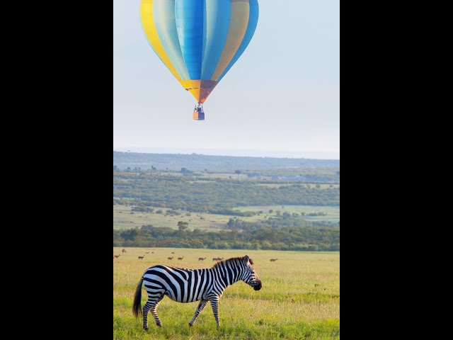 Video thumbnail for Masi Mari Migation Baloon Ride