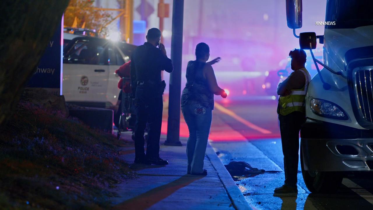 Video thumbnail for US, Los Angeles: Wilmington Pedestrian Dog Struck By Vehicle Following Suspected Domestic Dispute.