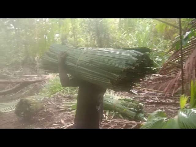 Video thumbnail for Tahap 2