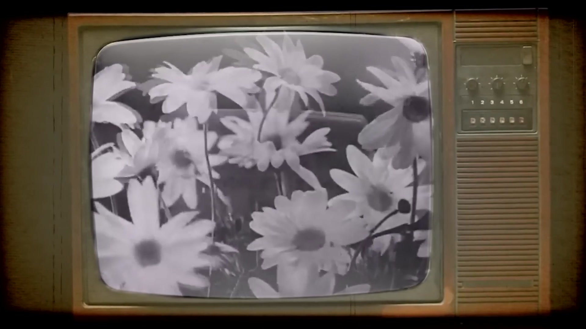 Video thumbnail for You’re Not Ugly… Just Broke: Why Beauty Costs More Than You Think